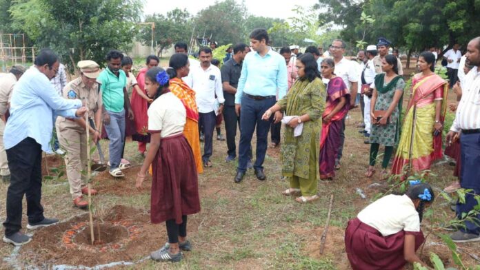 Collector Kamareddy