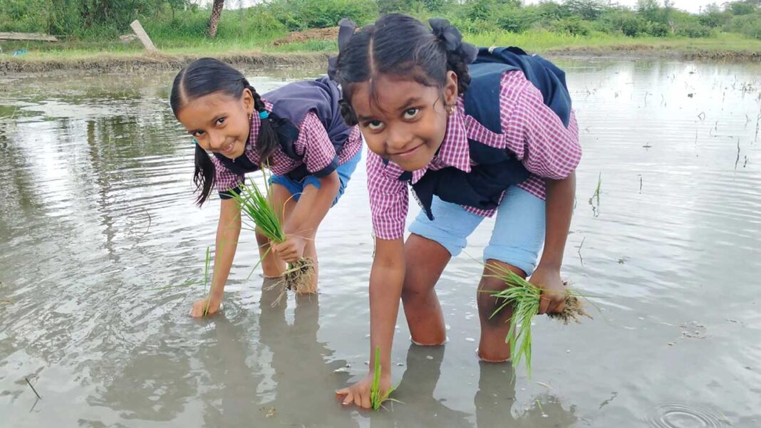 Vishwa Bharathi School