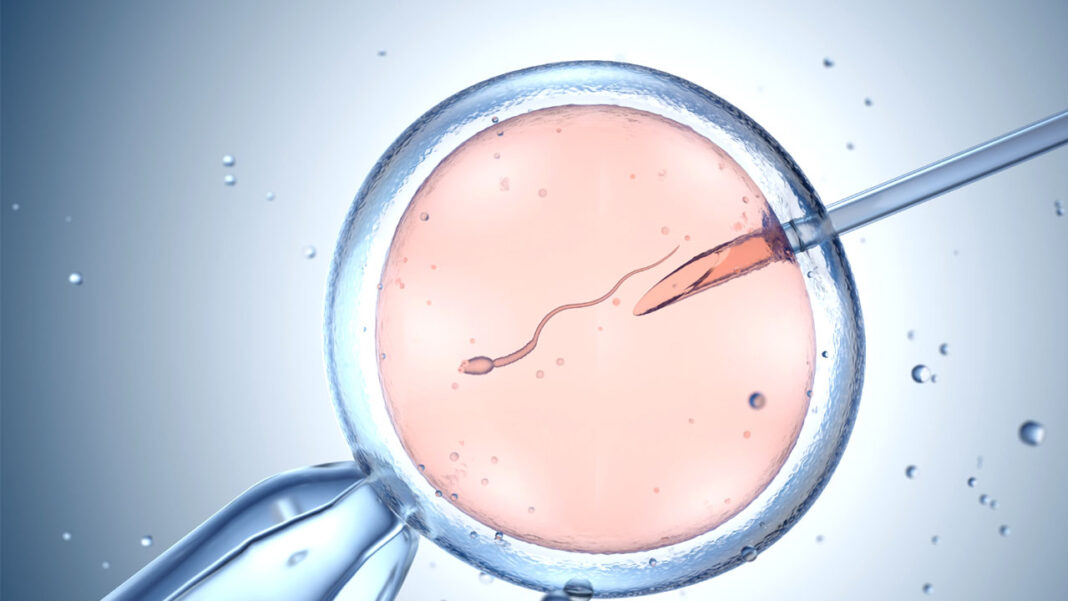 Test Tube Baby Center