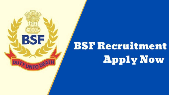 BSF Posts