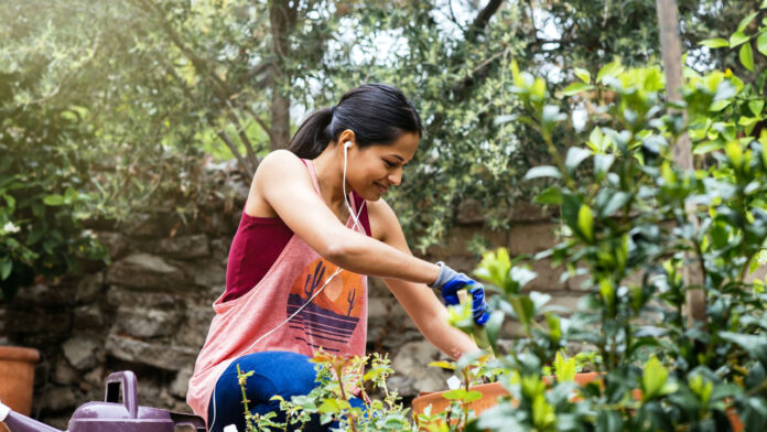 Gardening