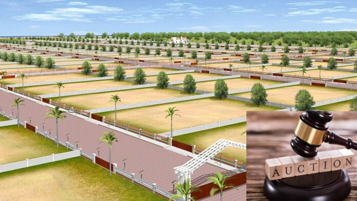 Land Auction