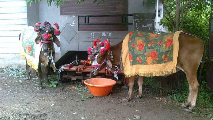 Polala Amavasya