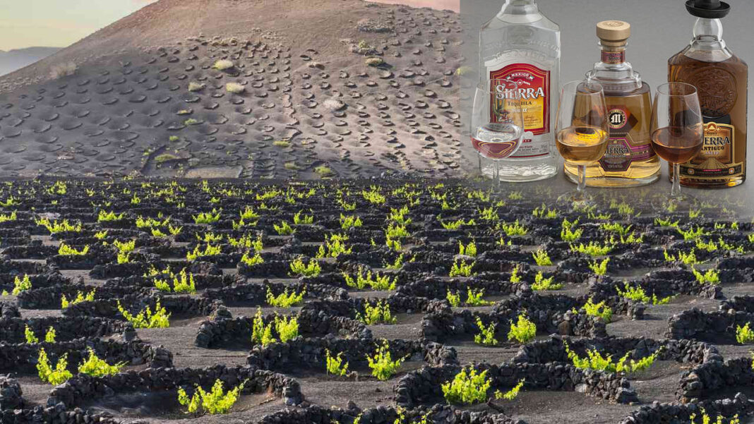 alcohol with volcanic ash | అగ్నిపర్వతాల బూడిదతో మద్యం తయారీ.. తాగారా దీనిని..