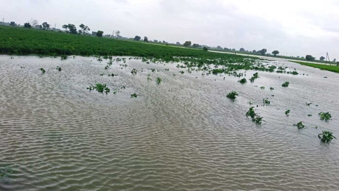 Heavy Rains
