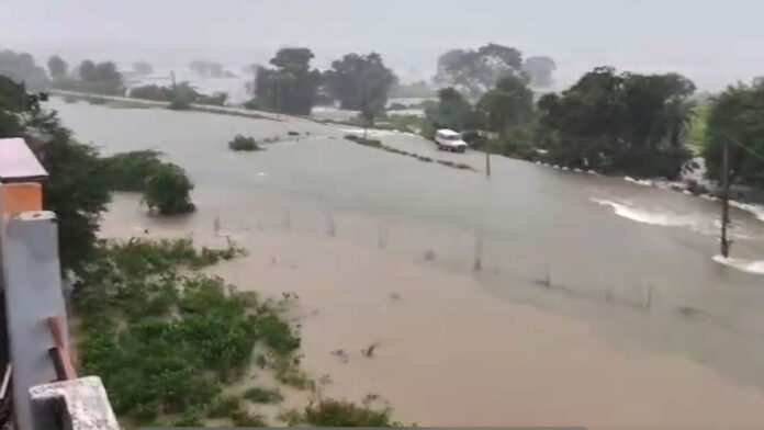 Heavy Rains