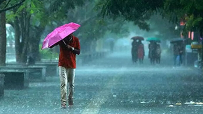 Heavy Rain Alert