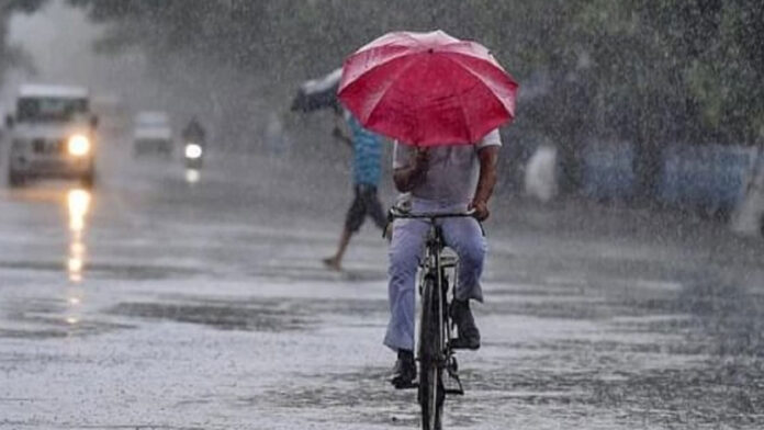 Rain Alert