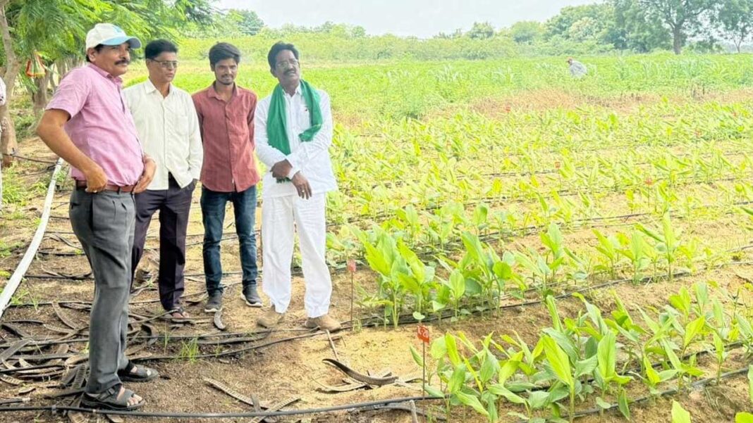 Kotapati Narasimha nayudu