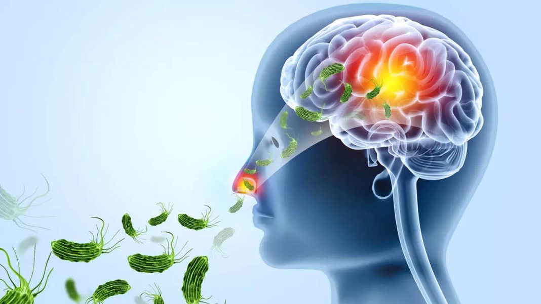 Brain Eating Virus
