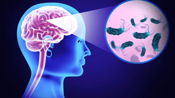 Brain Eating Virus