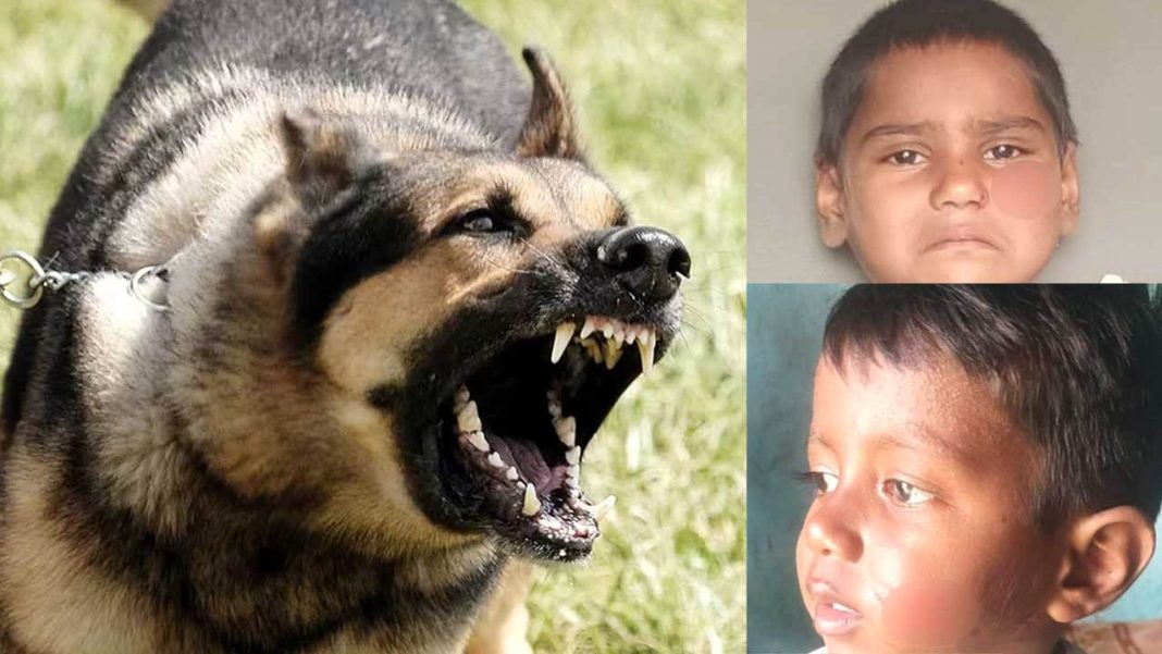 Dog Bite