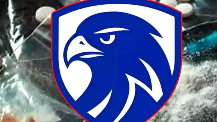 Eagle Team