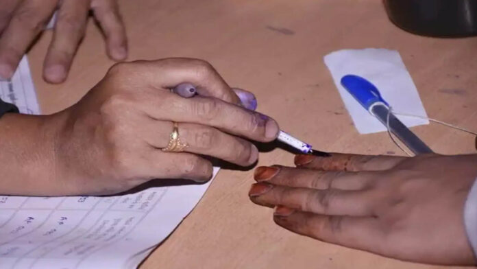 Local Body Elections