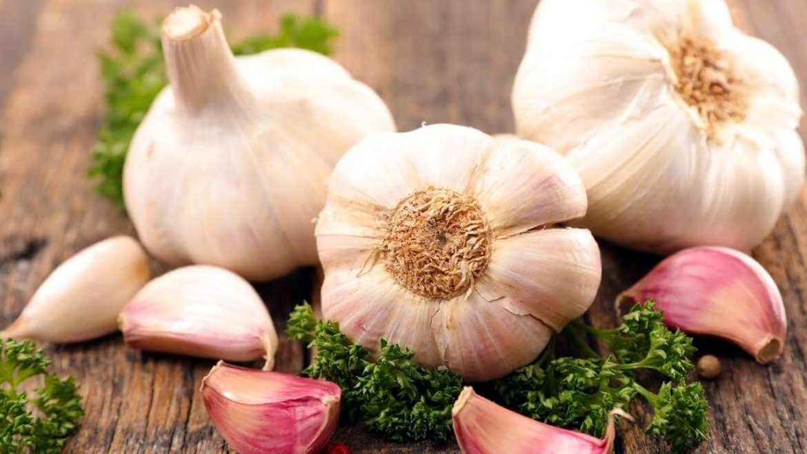 Garlic Uses