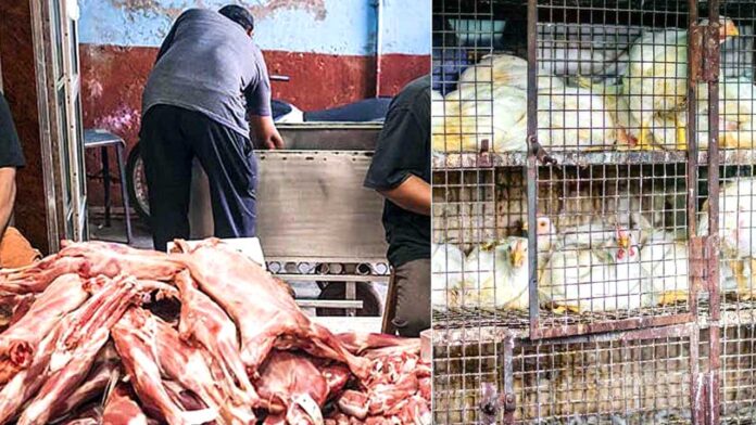 Non-veg-Shops