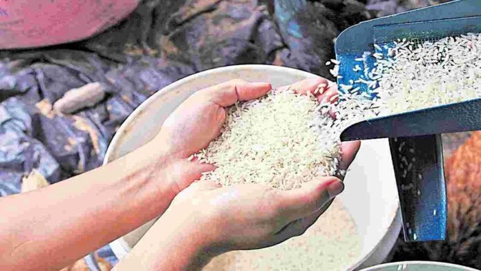Rice Mills