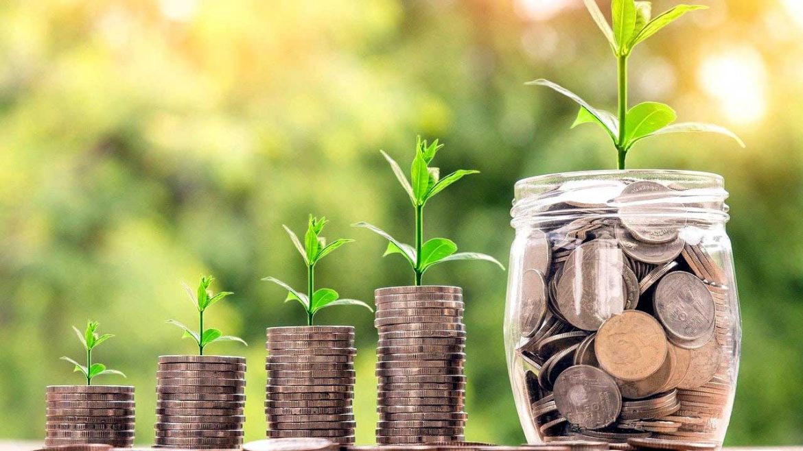 Stellant Securities India Ltd