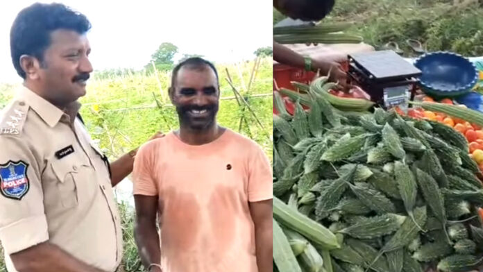 Farmer
