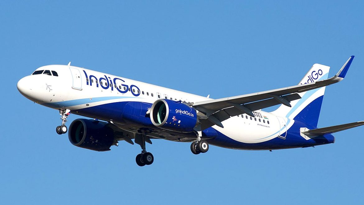 Indigo Flight