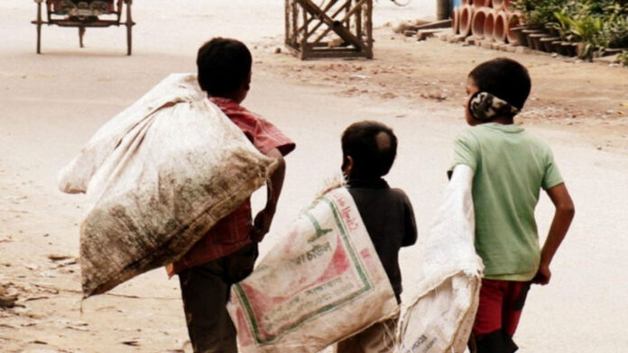 Orphans