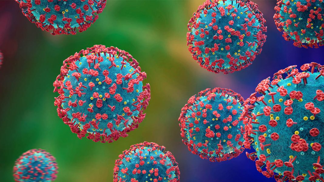 Infuenza Virus