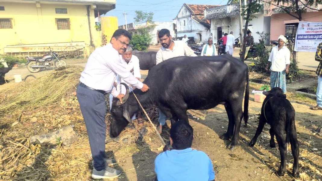 Mendora Mandal