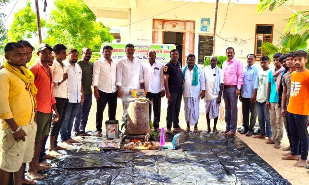 Paddy centers
