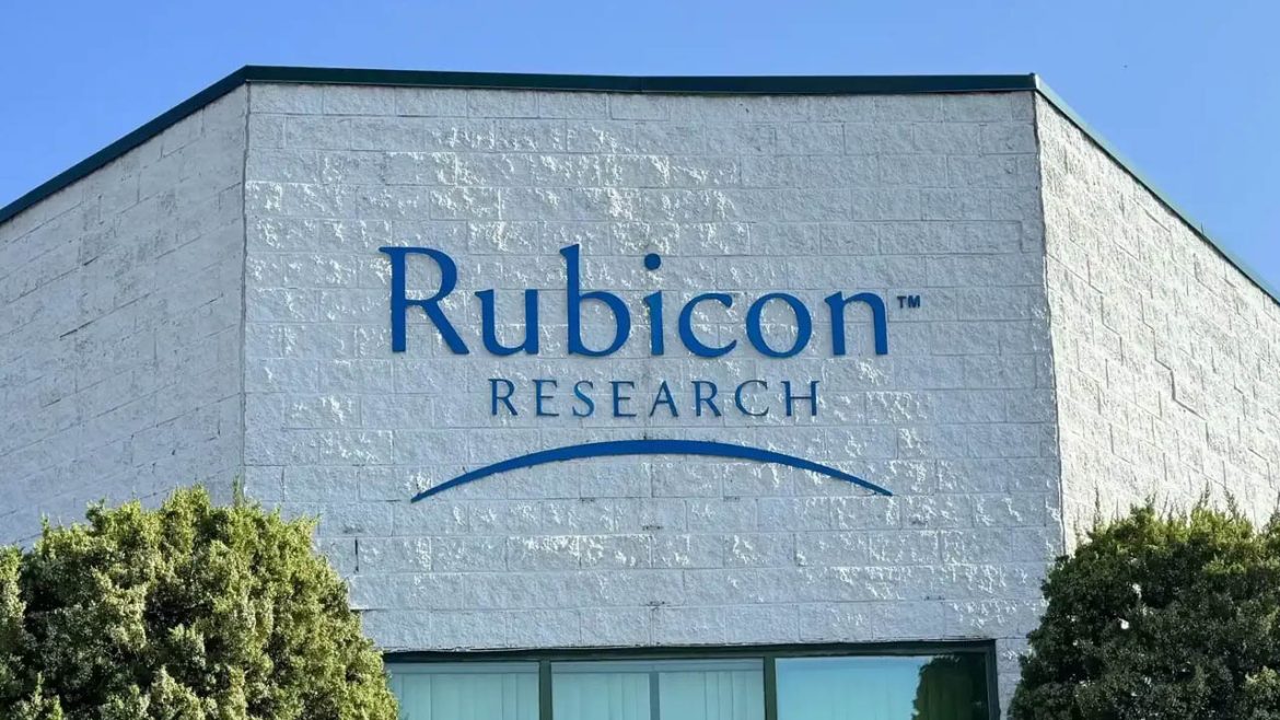 Rubicon Research Ltd IPO