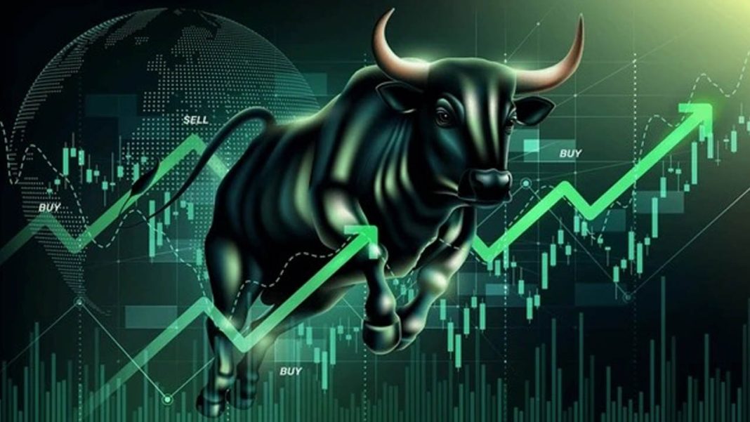 Stock Market