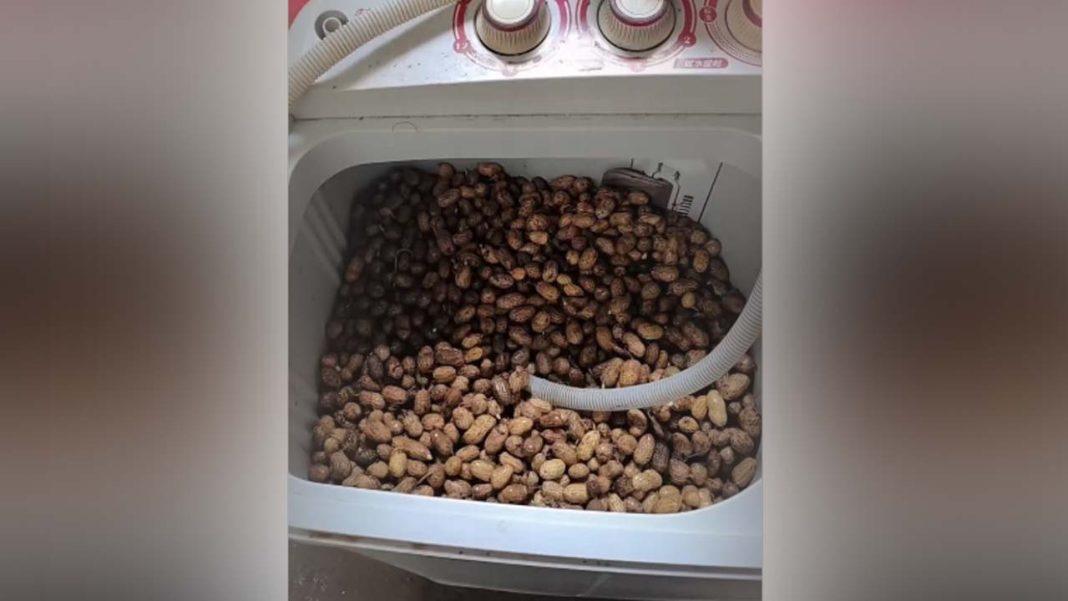 Viral Video Viral Video