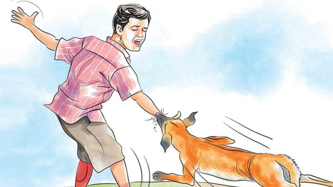 Dogs Bite