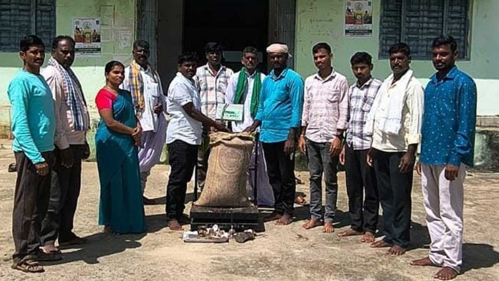 Paddy Centers
