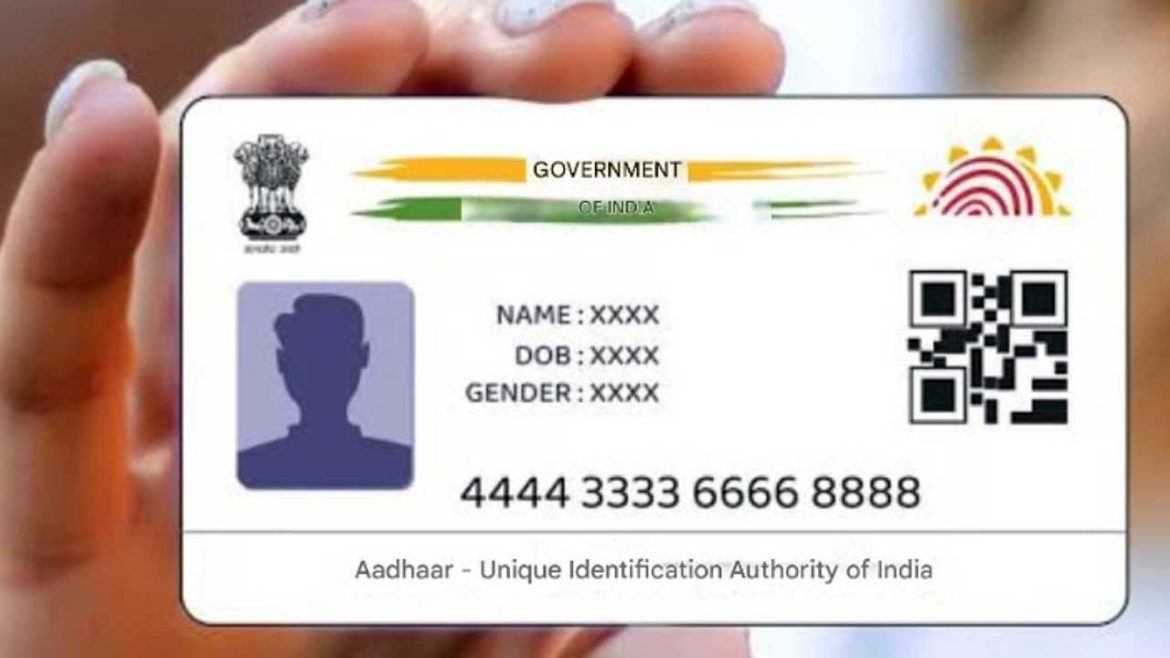 Aadhaar Numbers
