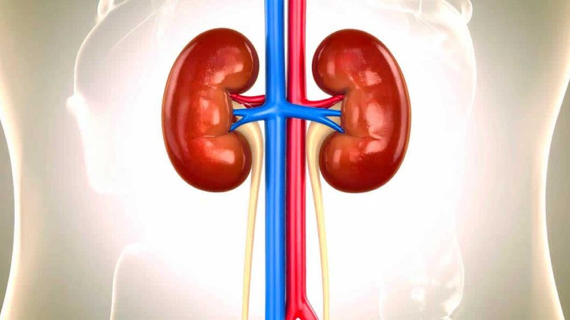 Kidney failure