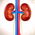Kidney failure | వేడి ఒత్తిడి వల్ల అపాయం.. ఎండలో పనిచేసే రైతులకు కిడ్నీ వైఫల్యం ప్రమాదం.. Kidney failure