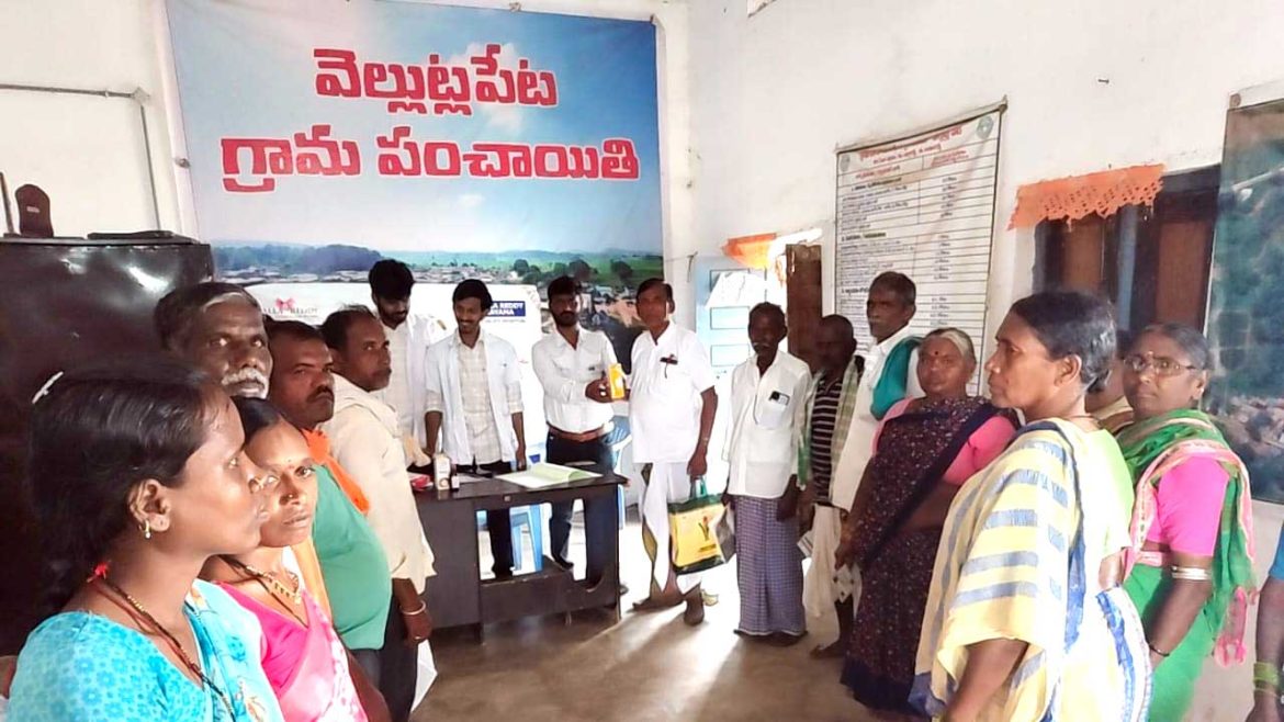 Medical Camp