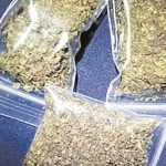 Nizamabad City | నగరంలో గంజాయి పట్టివేత Nizamabad City