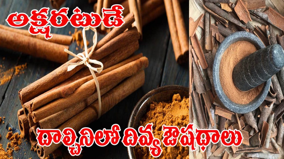 Cinnamon | వంటింటి మసాలా డబ్బాలో దివ్య ఔషధం.. సకల ఆరోగ్య సమస్యలకు ఇక చెక్ పెట్టడమే తరువాయి!​