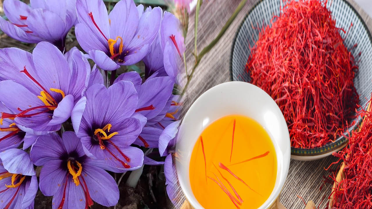 Saffron | అద్భుత ఔషధం కుంకుమ పువ్వు.. దీని ప్రయోజనాలు తెలిస్తే అవాక్కవ్వాల్సిందే!
