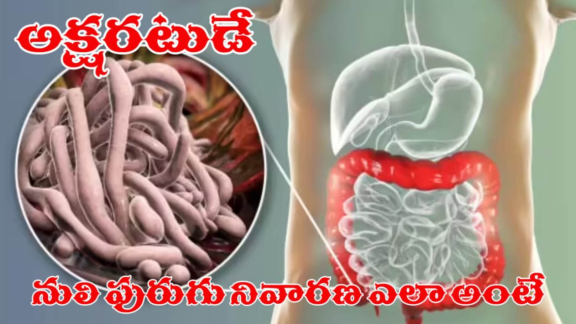 Stomach worms | పిల్లలలో కడుపు నొప్పి.. అసలు కారణాలు ఇవే..!