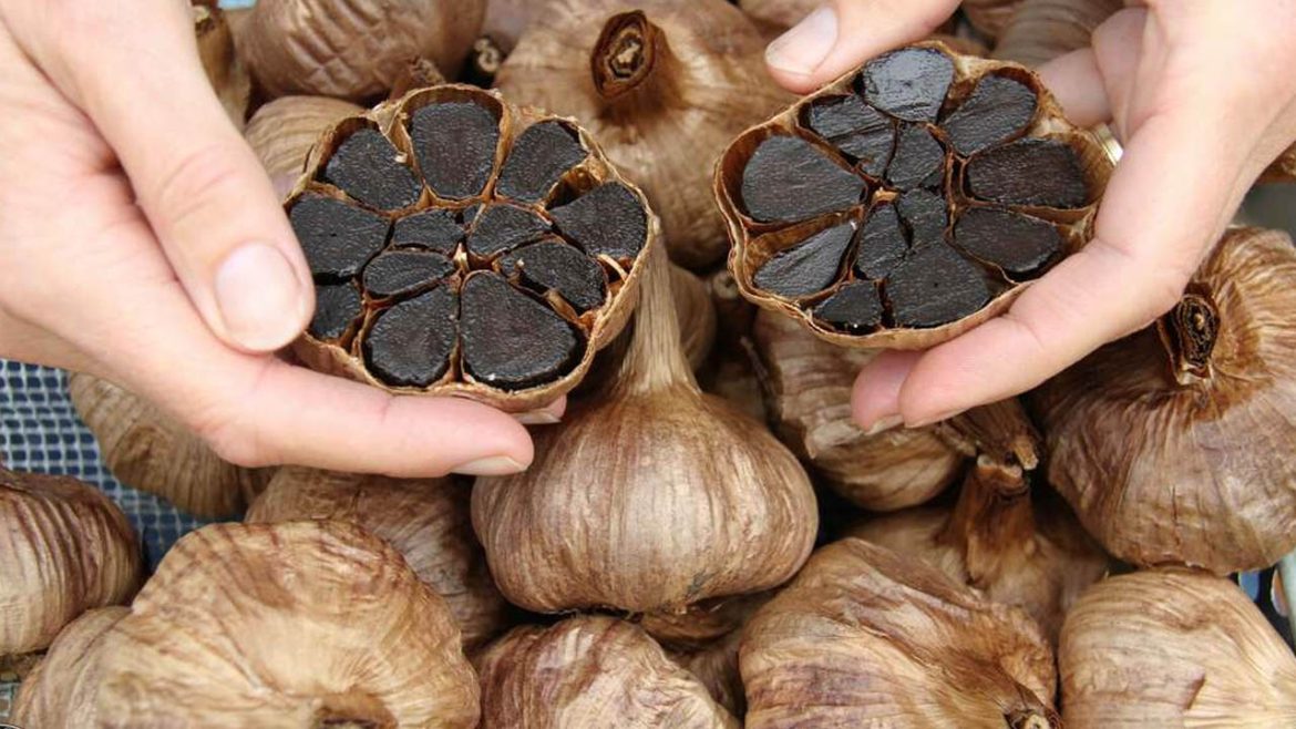 Black Garlic | సాధారణం కంటే చాలా సాధారణ వెల్లుల్లి కంటే 'నల్ల వెల్లుల్లి' చాలా పవర్‌ఫుల్.. ఎందుకంటే!