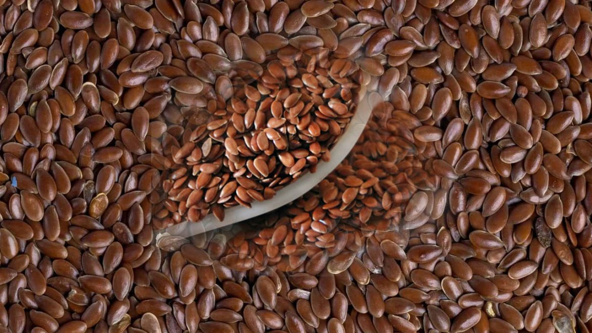 Flax seeds | రోజూ రెండు స్పూన్ల అవిసె పొడి.. ఈ ఆరోగ్య సమస్యలకు చెక్!