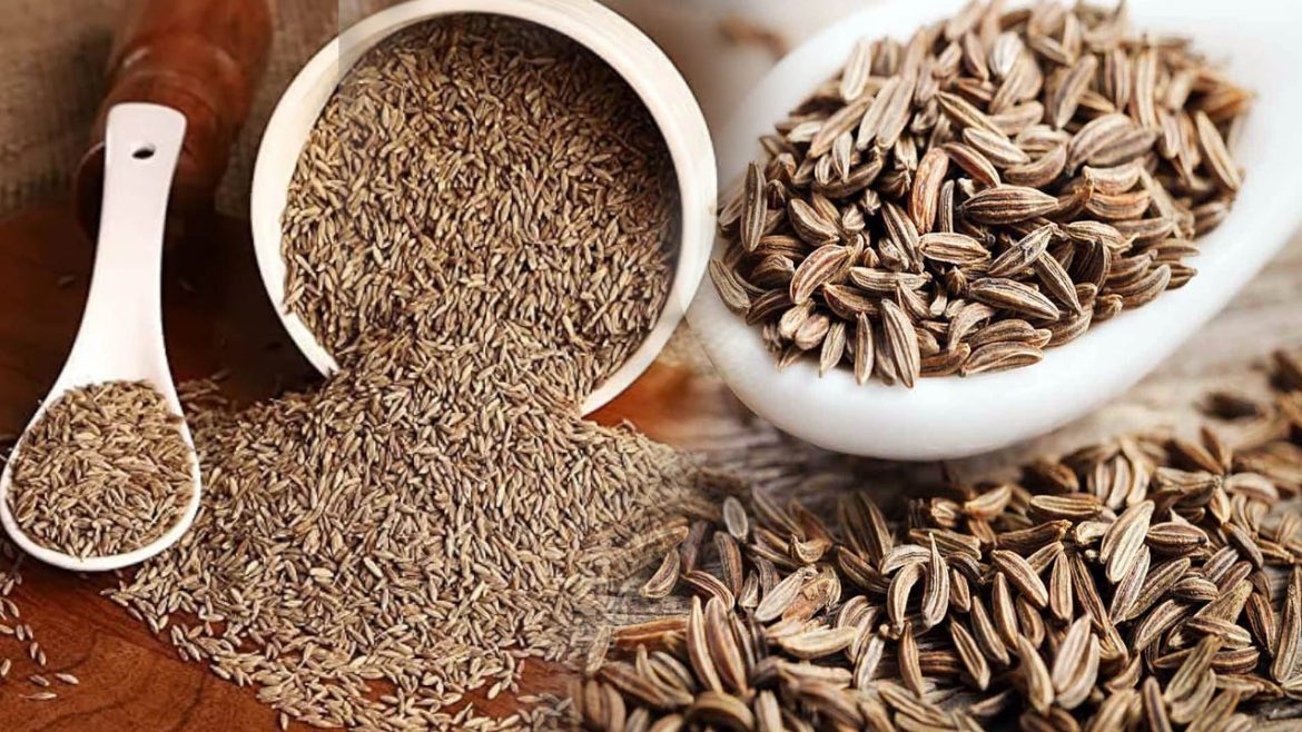 Cumin seeds | మీరు వాడుతున్న జీలకర్ర అసలైనదేనా.. కల్తీని గుర్తించే సింపుల్ చిట్కాలివే!