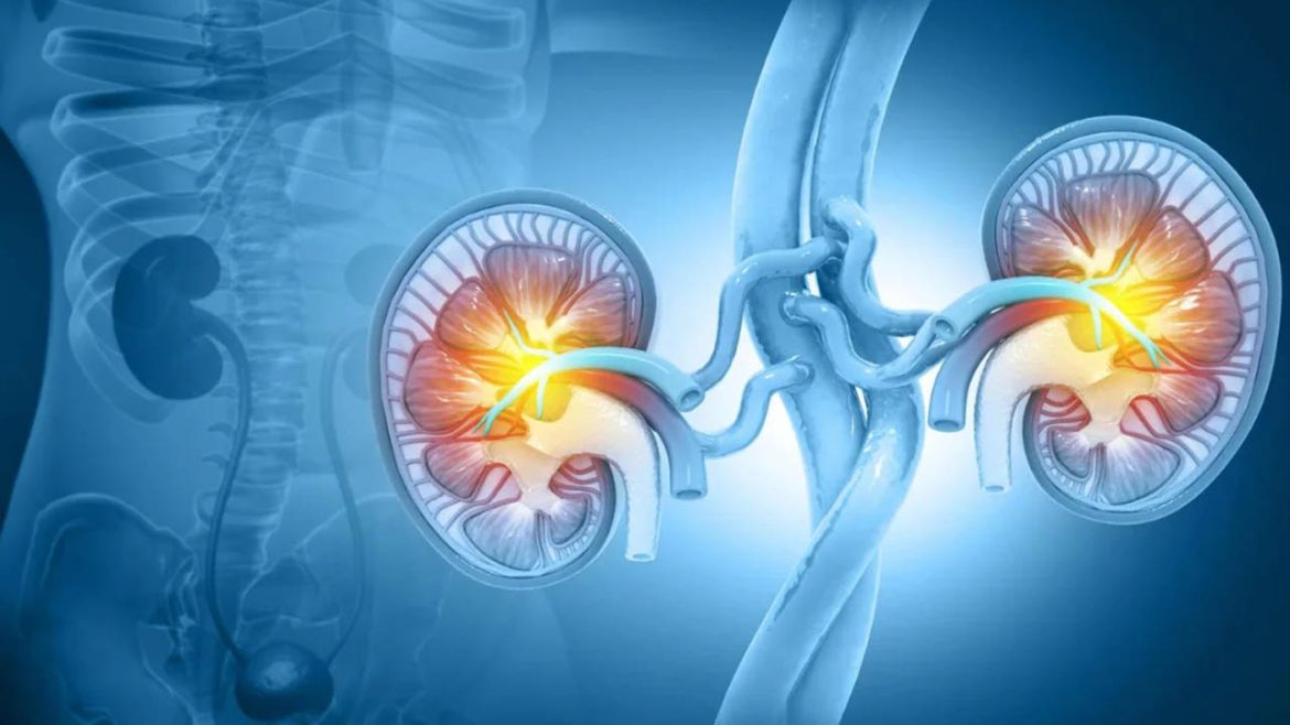 Kidney Stones | చిన్న పిల్లల్లోనూ కిడ్నీ రాళ్లా.. వీటిని తల్లిదండ్రులు గుర్తించడం ఎలా అంటే..